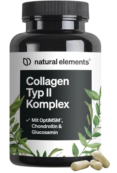 Digital Nutrition Guide Book Cover